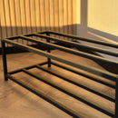 Unassembled Metal Shoe Rack