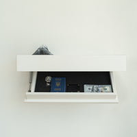 Hidden Wall-Mounted Safe Drawer with Mountain